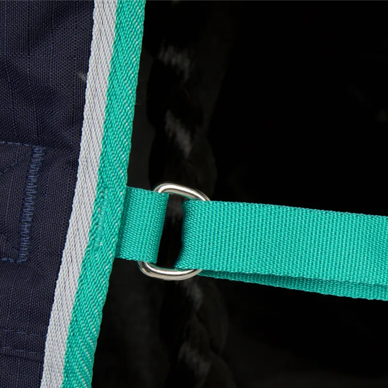 Bridleway Ontario 300g Turnout Combo Rug in Navy-2